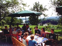 Terrasse mit Natursteinmauer